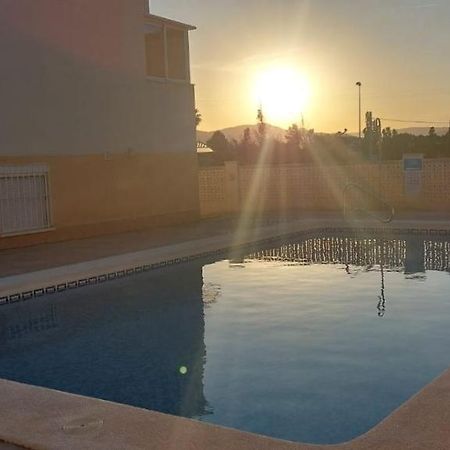 Amanacer Oliva Daire Dış mekan fotoğraf