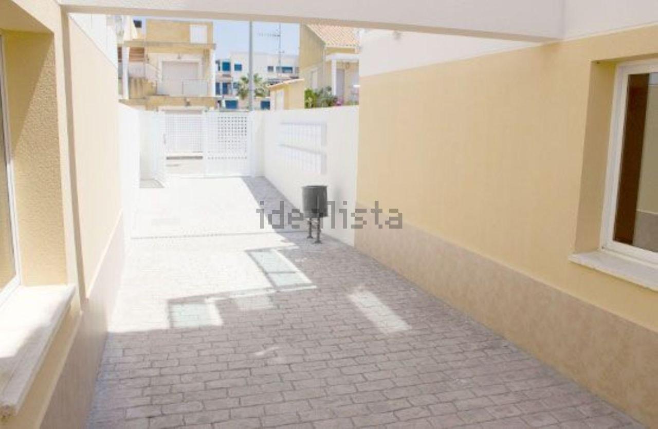 Amanacer Oliva Daire Dış mekan fotoğraf