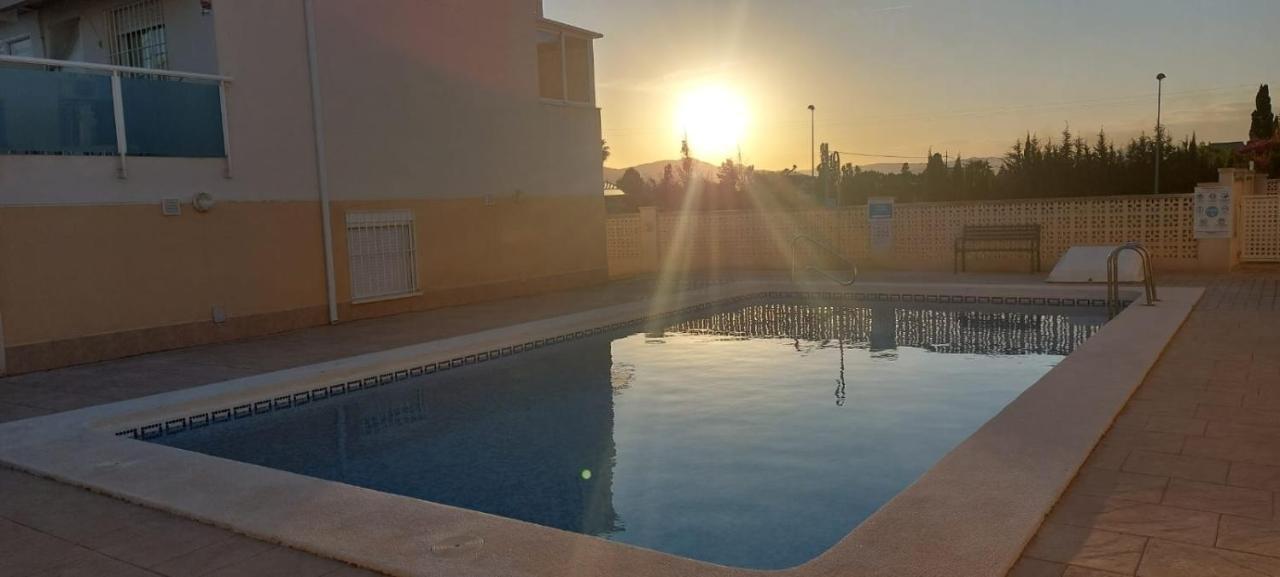 Amanacer Oliva Daire Dış mekan fotoğraf