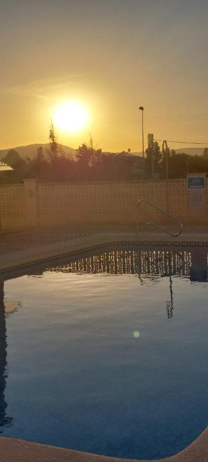Amanacer Oliva Daire Dış mekan fotoğraf
