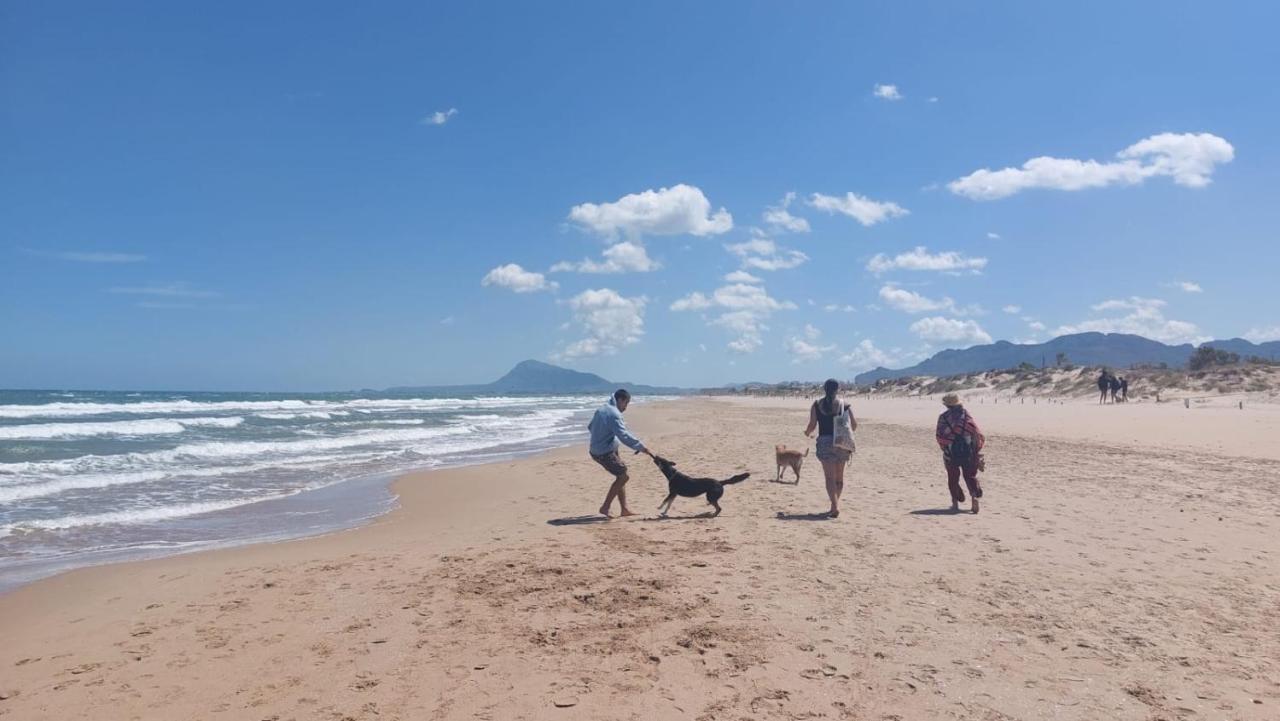 Amanacer Oliva Daire Dış mekan fotoğraf