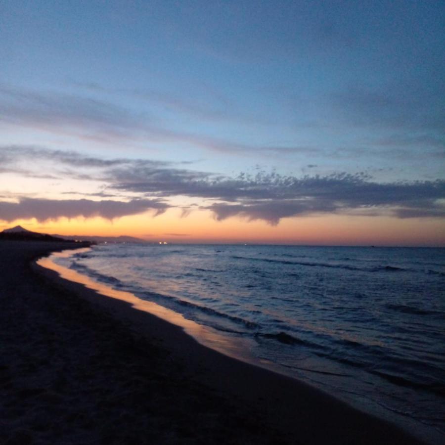 Amanacer Oliva Daire Dış mekan fotoğraf